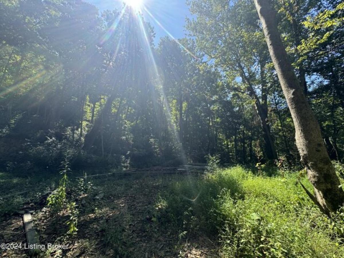  Land in Goshen, USA No. 474152