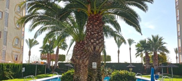 2 Schlafzimmer Wohnung in Alicante, Spain, Nr. 189904 37