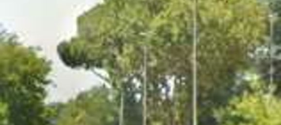 5 bedrooms Apartment in Rome, Italy No. 332088 5