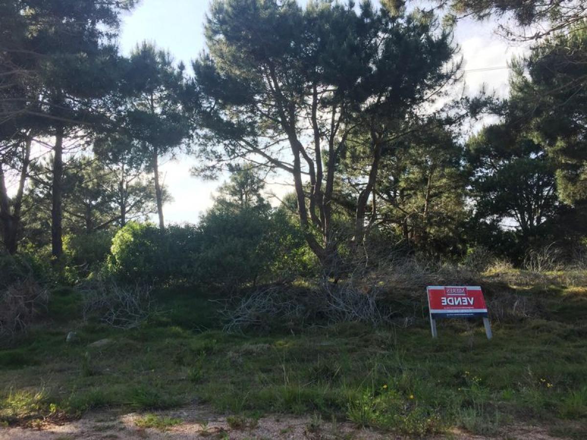 Terrain à Maldonado, Uruguay No. 15162