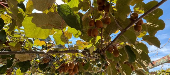 Casa de 3 dormitorios en Arenas de San Pedro, Spain No. 64681 34