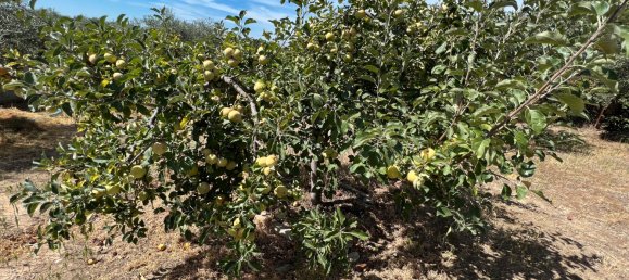 Casa de 3 dormitorios en Arenas de San Pedro, Spain No. 64681 36