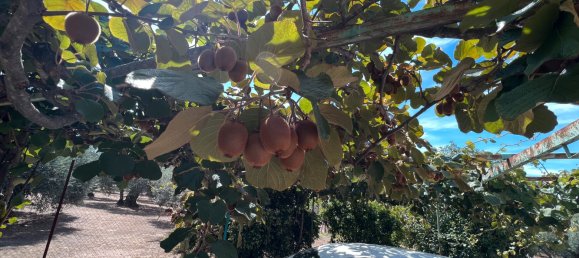 Casa de 3 dormitorios en Arenas de San Pedro, Spain No. 64681 33