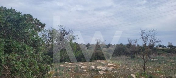  قطعة أرض في Paderne, Portugal رقم 79450 2