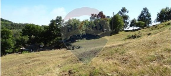  قطعة أرض في Cantelaes, Portugal 18000متر مربع رقم 190040 34