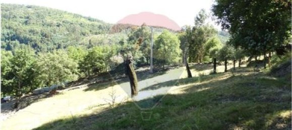  قطعة أرض في Cantelaes, Portugal 18000متر مربع رقم 190040 16