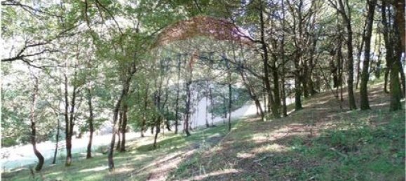  قطعة أرض في Cantelaes, Portugal 18000متر مربع رقم 190040 22