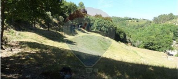  قطعة أرض في Cantelaes, Portugal 18000متر مربع رقم 190040 13