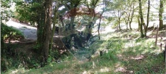  قطعة أرض في Cantelaes, Portugal 18000متر مربع رقم 190040 27