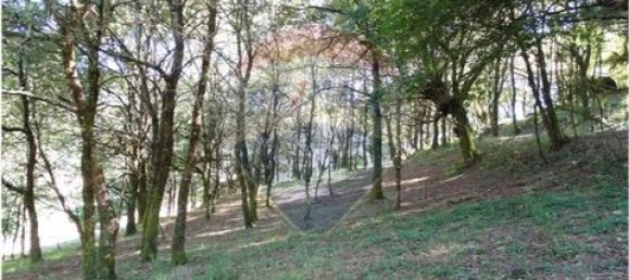  قطعة أرض في Cantelaes, Portugal 18000متر مربع رقم 190040 21