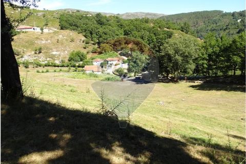  قطعة أرض في Cantelaes, Portugal 18000متر مربع رقم 190040