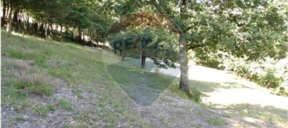  قطعة أرض في Cantelaes, Portugal 18000متر مربع رقم 190040 7