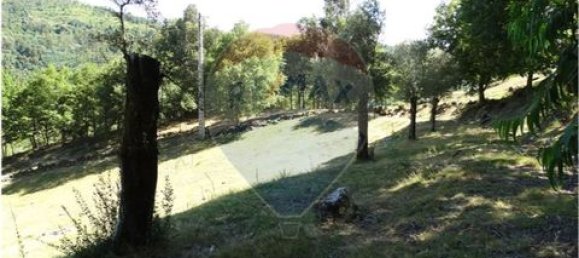  قطعة أرض في Cantelaes, Portugal 18000متر مربع رقم 190040 15