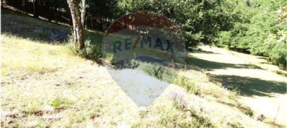  قطعة أرض في Cantelaes, Portugal 18000متر مربع رقم 190040 33