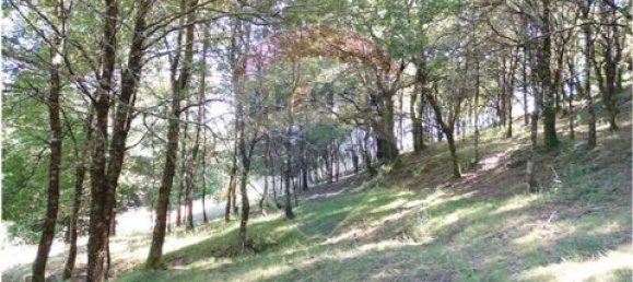  قطعة أرض في Cantelaes, Portugal 18000متر مربع رقم 190040 23