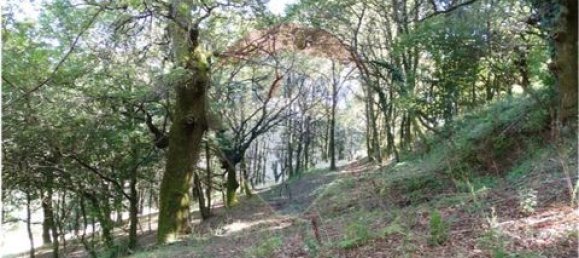  قطعة أرض في Cantelaes, Portugal 18000متر مربع رقم 190040 20