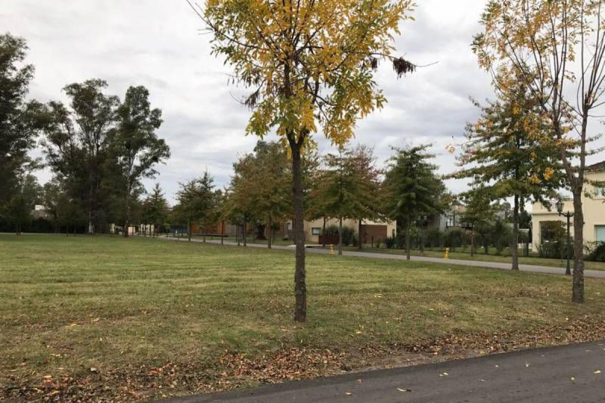 Grundstück in General Rodriguez, Argentina, Nr. 113549