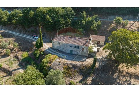 Villa de 3 dormitorios en Celorico de Basto, Portugal No. 190062