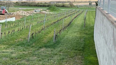  قطعة أرض في Purbach am Neusiedler See, Austria رقم 71708