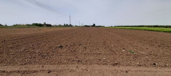 Hotel in Chalkidiki, Greece 8628m², Nr. 3642 4