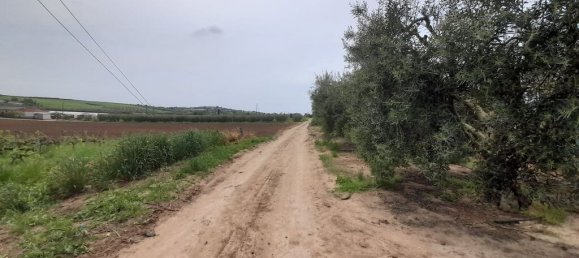 Hotel in Chalkidiki, Greece 8628m², Nr. 3642 6