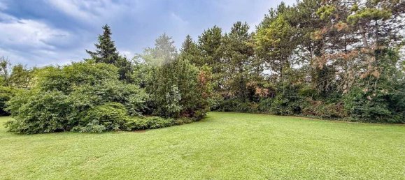 Land in Theresienfeld, Austria No. 214708 2