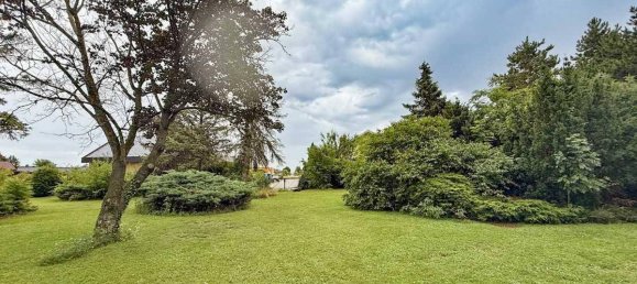 Land in Theresienfeld, Austria No. 214708 3