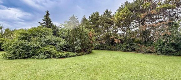 Land in Theresienfeld, Austria No. 214708 7