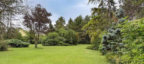 Land in Theresienfeld, Austria No. 214708 4