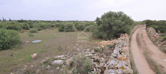 Grundstück in Ciutadella De Menorca, Spain 62m², Nr. 2029 4