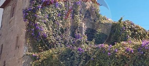 3 bedrooms House in Fanzeres, Portugal No. 28036 4