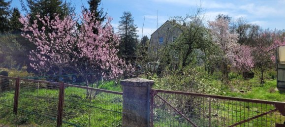 Casa de 3 divisões em Dahme-Spreewald, Germany N.º 238782 4