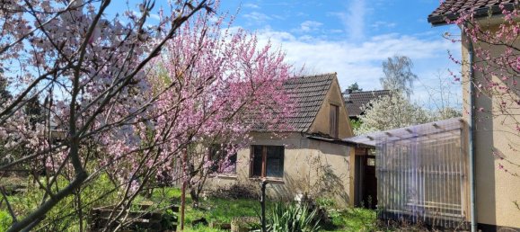 Casa de 3 divisões em Dahme-Spreewald, Germany N.º 238782 2