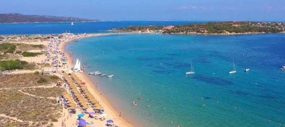 3 rooms Apartment in Palau, Italy No. 135758 14