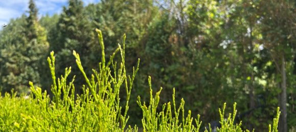 5-Zimmer Stadthaus in Magdeburg, Germany, Nr. 22355 23