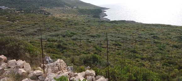  Hotel in Zakynthos, Greece No. 819 5