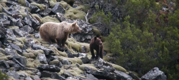 1 Schlafzimmer Haus in Asturias, Spain, Nr. 169943 10