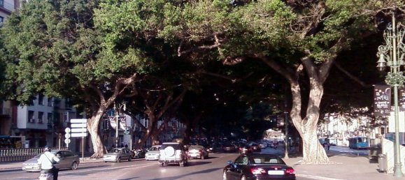 Propiedad comercial en Málaga, Spain 83 m² No. 164151 4