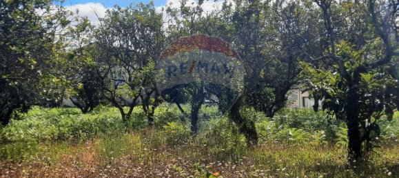 Дом с 4 спальнями в Сан Пайю де Олейруш, Португалия № 17411 33