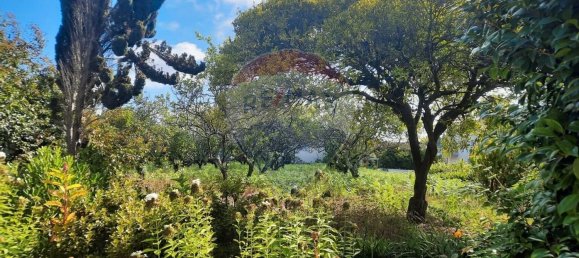 Дом с 4 спальнями в Сан Пайю де Олейруш, Португалия № 17411 42