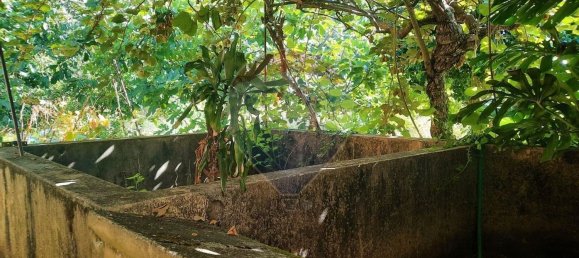 Дом с 4 спальнями в Сан Пайю де Олейруш, Португалия № 17411 36