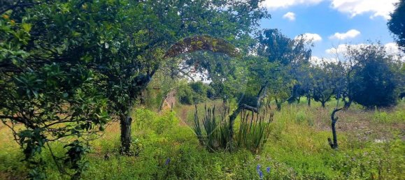 Дом с 4 спальнями в Сан Пайю де Олейруш, Португалия № 17411 37