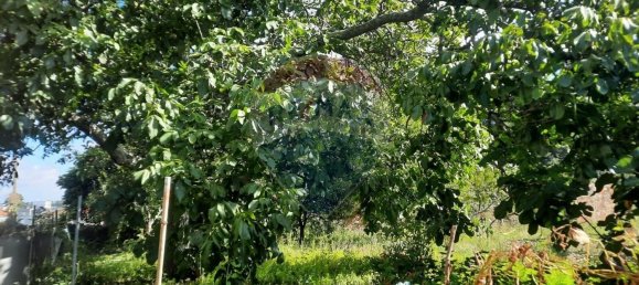 Дом с 4 спальнями в Сан Пайю де Олейруш, Португалия № 17411 39