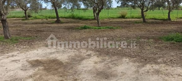 Villa de 3 dormitorios en Pachino, Italy No. 61178 13