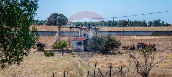 9 bedrooms House in Serpa, Portugal No. 38976 32