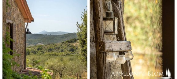 Casa T4 em Sinalunga, Italy N.º 262809 29