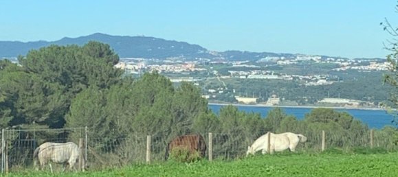 5 bedrooms Villa in Almada, Portugal No. 115982 7