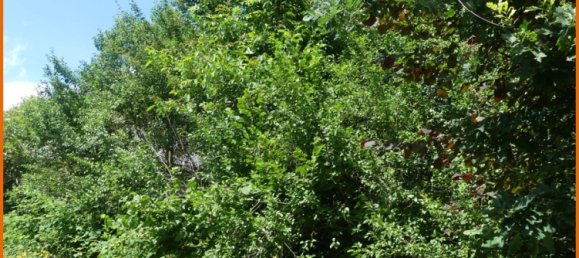 766m² Land in Main-Kinzig, Germany No. 147450 2