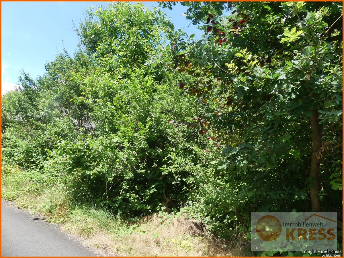 766m² Land in Main-Kinzig, Germany No. 147450