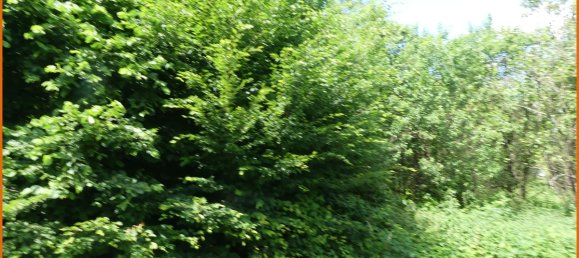 766m² Land in Main-Kinzig, Germany No. 147450 5